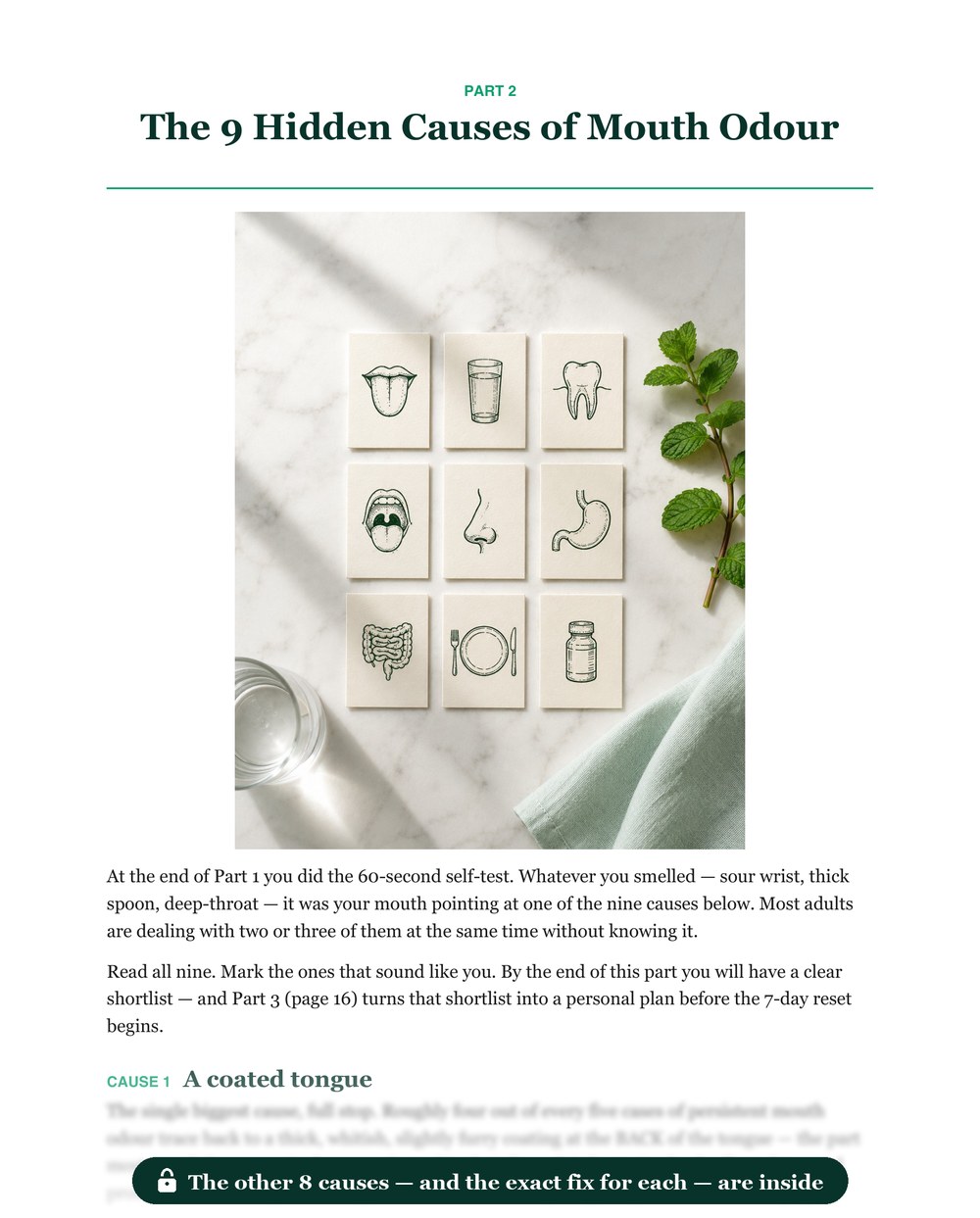 Inside: The 9 Hidden Causes of Mouth Odour